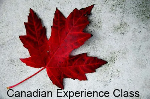 canadianexperienceclass